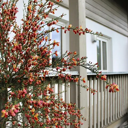 Woidblick Appartement Drachselsried